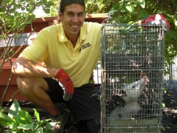 Wildlife Removal Technician in Ann Arbor, MI