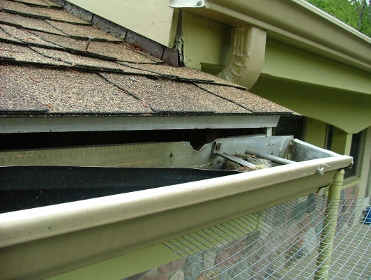 Wildlife Entry Point on Ann Arbor Home