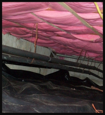 Crawlspace Restoration in Ann Arbor, Michigan